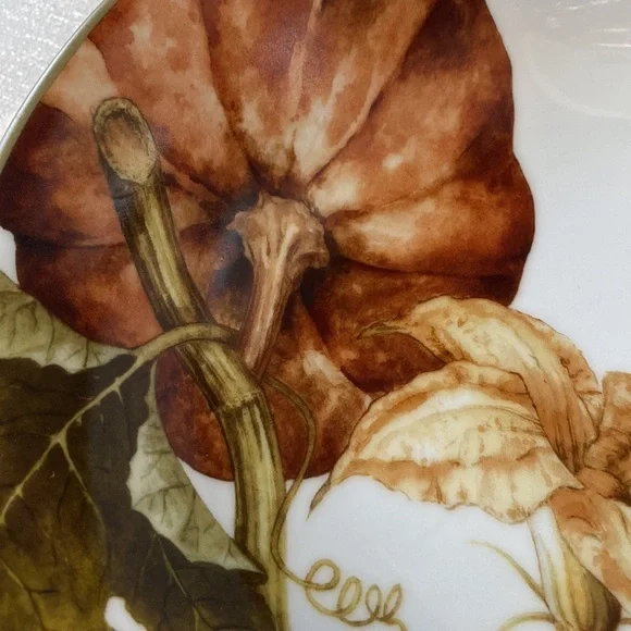 Sonoma Williams Botanical Pumpkin coupe soup bowl 8.75” x 2” deep - Picture 6 of 8